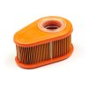 Briggs Stratton oro filtras 750