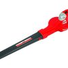Akumuliatorinis lapų pūstuvas 24V Grizzly Tools ALB 2420 Lion Set
