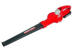 Akumuliatorinis lapų pūstuvas 24V Grizzly Tools ALB 2420 Lion Set