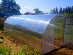 GARDEN PLUS polikarbonatinis 6mm arkinis šiltnamis