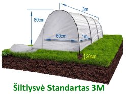Šiltlysvė "Standartas" 3m.