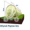 Šiltlysvė Pipiras 6m