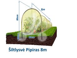 Šiltlysvė Pipiras 8m