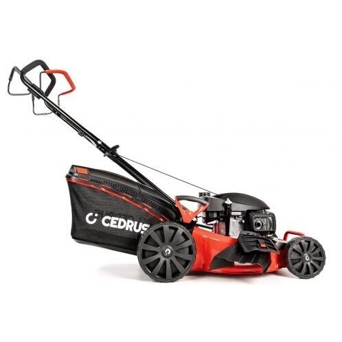 Benzininė vejapjovė Cedrus CEDKS53S-H, 53 cm - Image 3