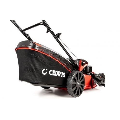 Benzininė vejapjovė Cedrus CEDKS53S-H, 53 cm - Image 4